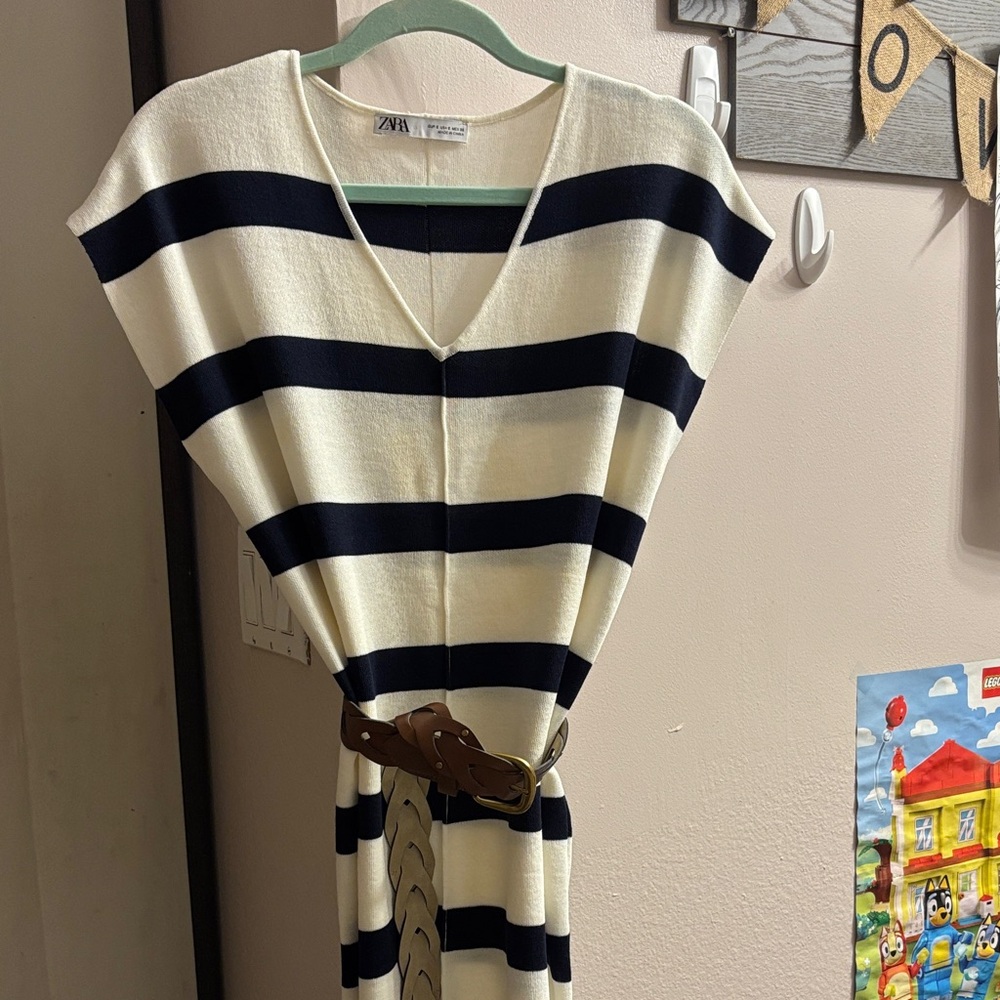 Zara Black and White Striped Dress.
